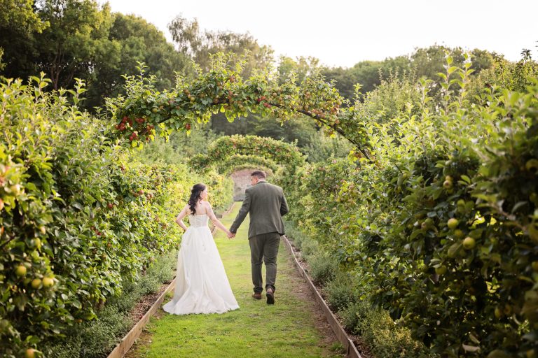 A bride and groom walking holding hands, whilst facing each other (with their backs to the camera) down an avenue of fruiting apple trees.